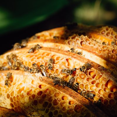 HD_Annette Seehaus-Arnold_Markus_Büttner_mgo-media-11