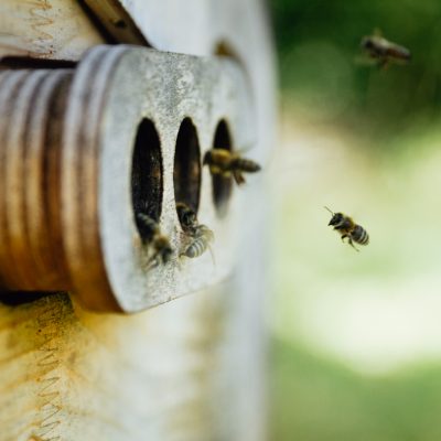 HD_Annette Seehaus-Arnold_Markus_Büttner_mgo-media-20