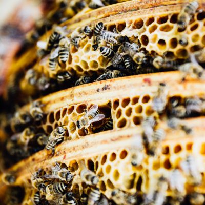 HD_Annette Seehaus-Arnold_Markus_Büttner_mgo-media-6