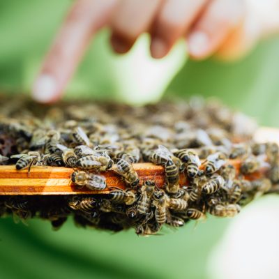 HD_Annette Seehaus-Arnold_Markus_Büttner_mgo-media-8