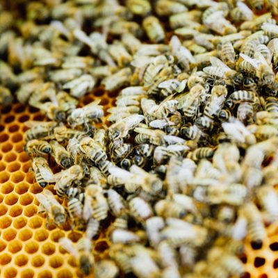 HD_Annette Seehaus-Arnold_Markus_Büttner_mgo-media-9